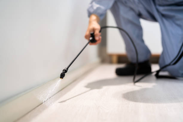 Licensed Termite Control service in Coalgate, OK - Nex Pest Control