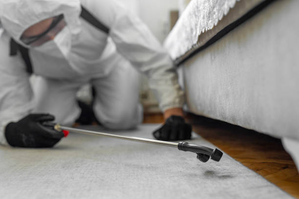 Professional Termite Control technician working in Coalgate, OK
