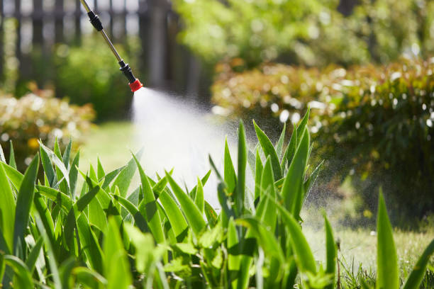 24/7 Emergency Termite Control experts in Coalgate, OK