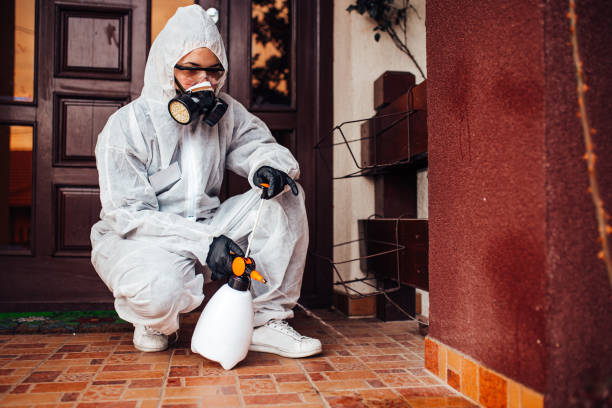 Reliable Termite Control contractor in Coalgate, OK by Nex Pest Control