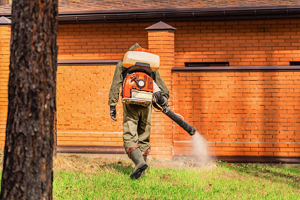 Top rated local Termite Control specialists in Coalgate, OK